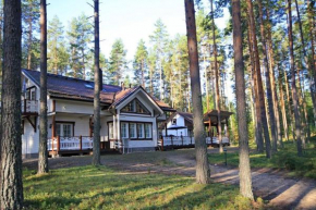 Big House in a Pine Forest Savonlinna